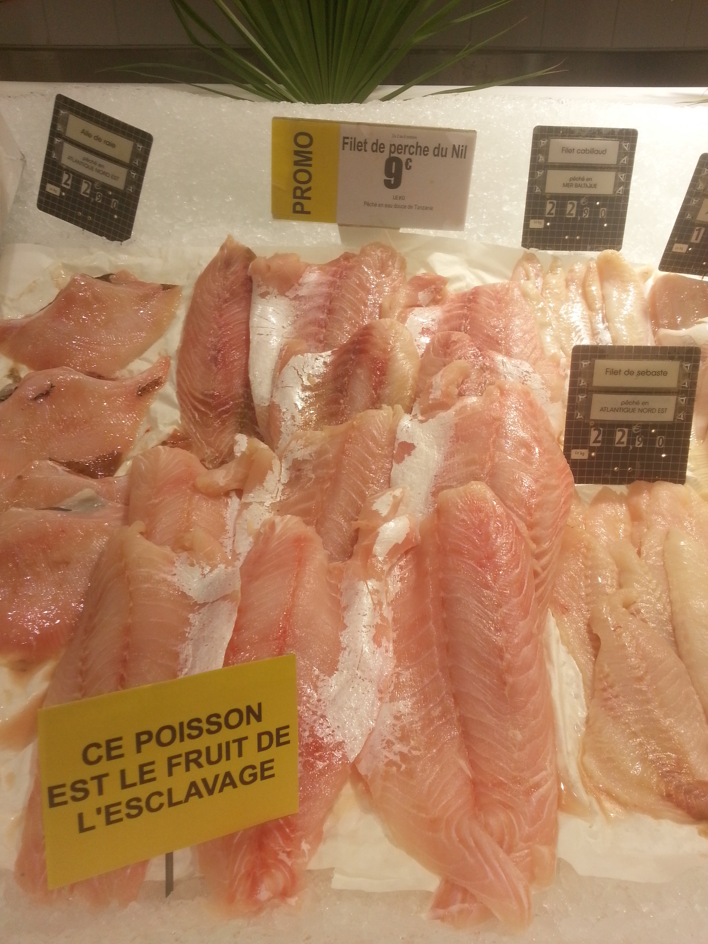 "Esse peixe é fruto do trabalho escravo."